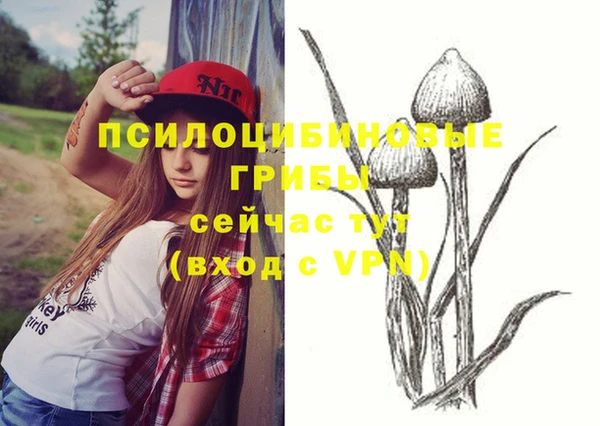 a pvp Аркадак